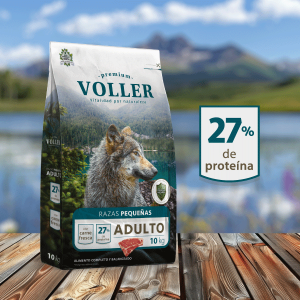 Voller Adulto raza pequeña